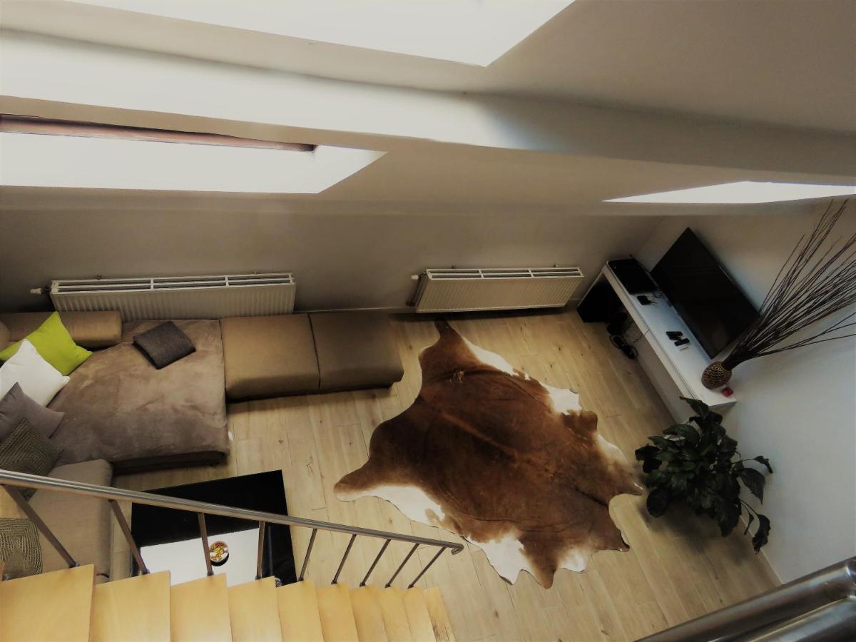 Einstein Apartment Antwerpen